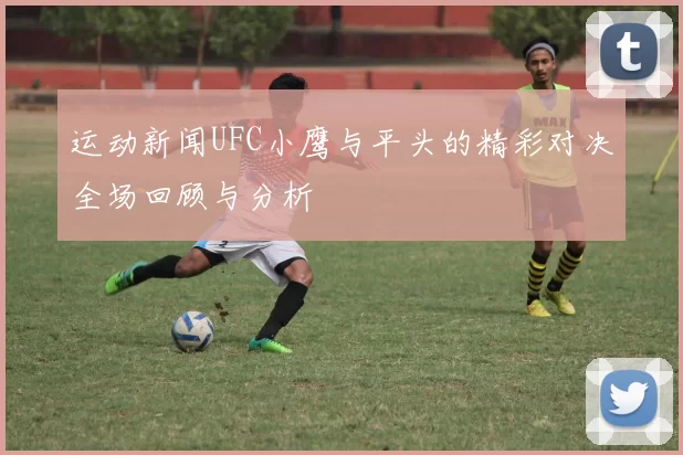 运动新闻UFC小鹰与平头的精彩对决全场回顾与分析