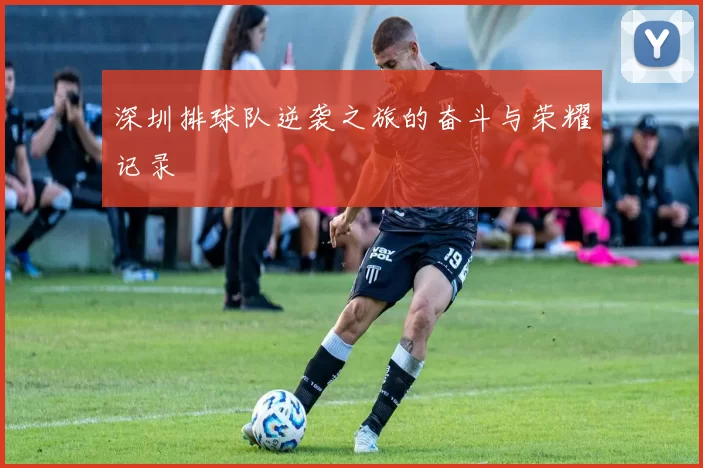 深圳排球队逆袭之旅的奋斗与荣耀记录